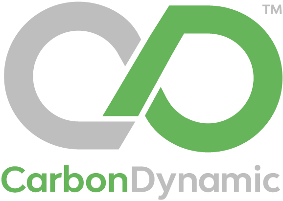 Carbon Dynamic